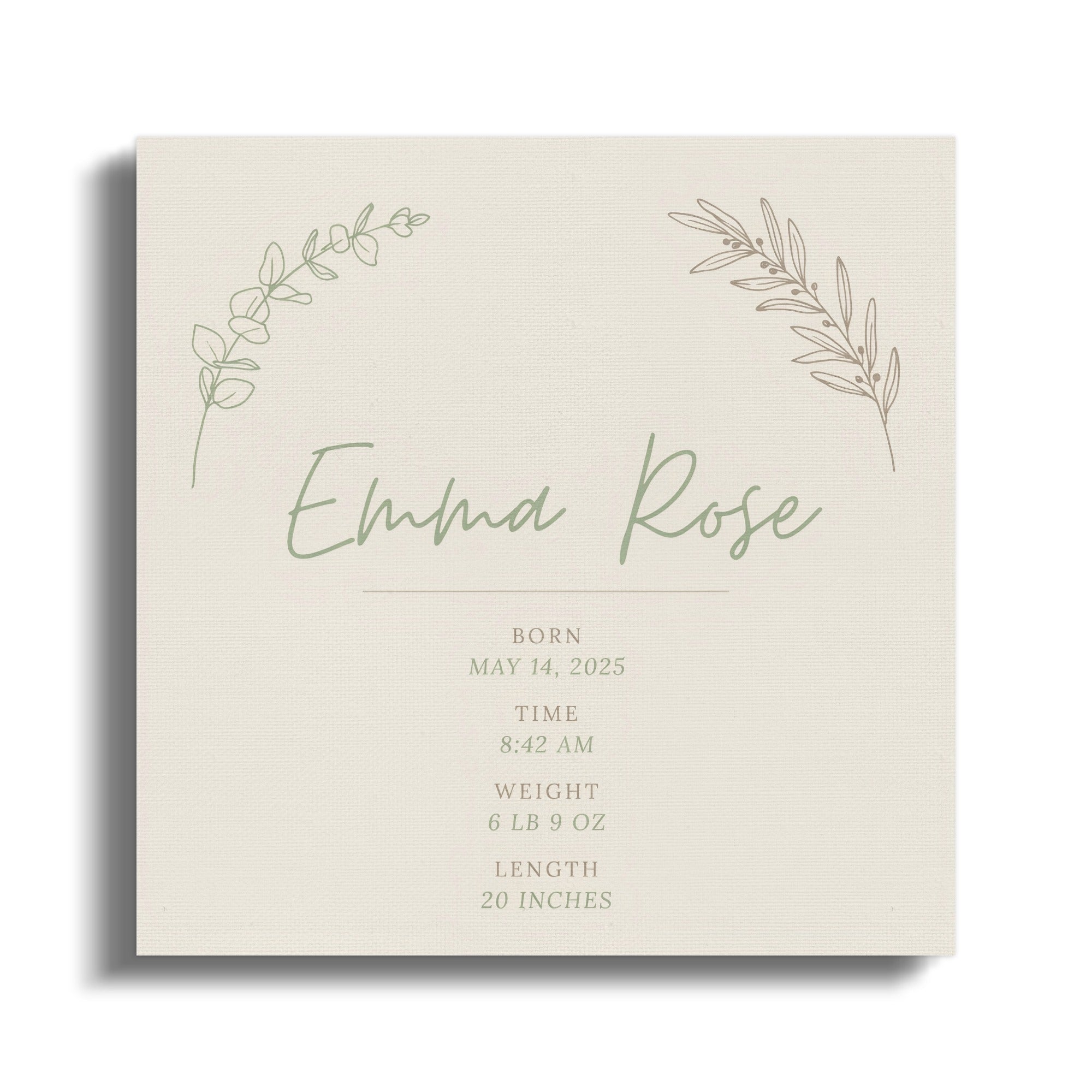Birth announcement for Emma Rose, born May 14, 2025, 8:42 AM, 6 lb 9 oz, 20 inches.