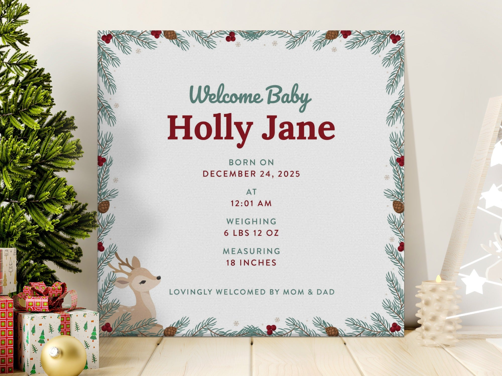 Welcome Baby Holly Jane born December 24, 2025, 6 lbs 12 oz.