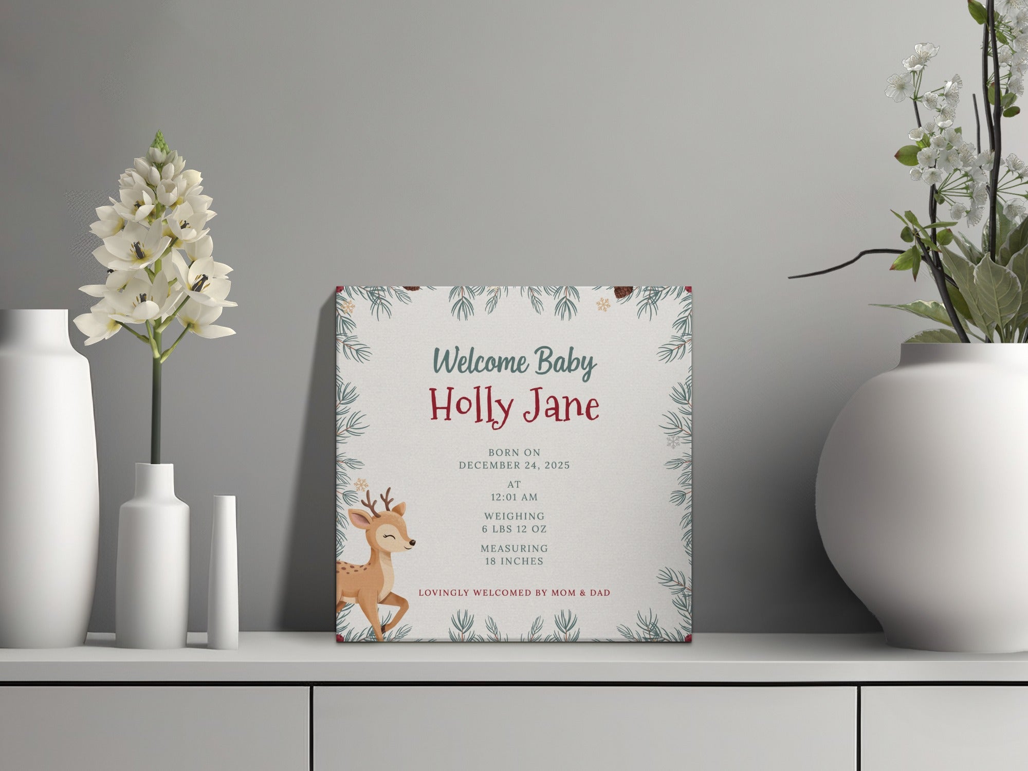 Baby announcement sign for Holly Jane born December 24, 2025, with a deer.