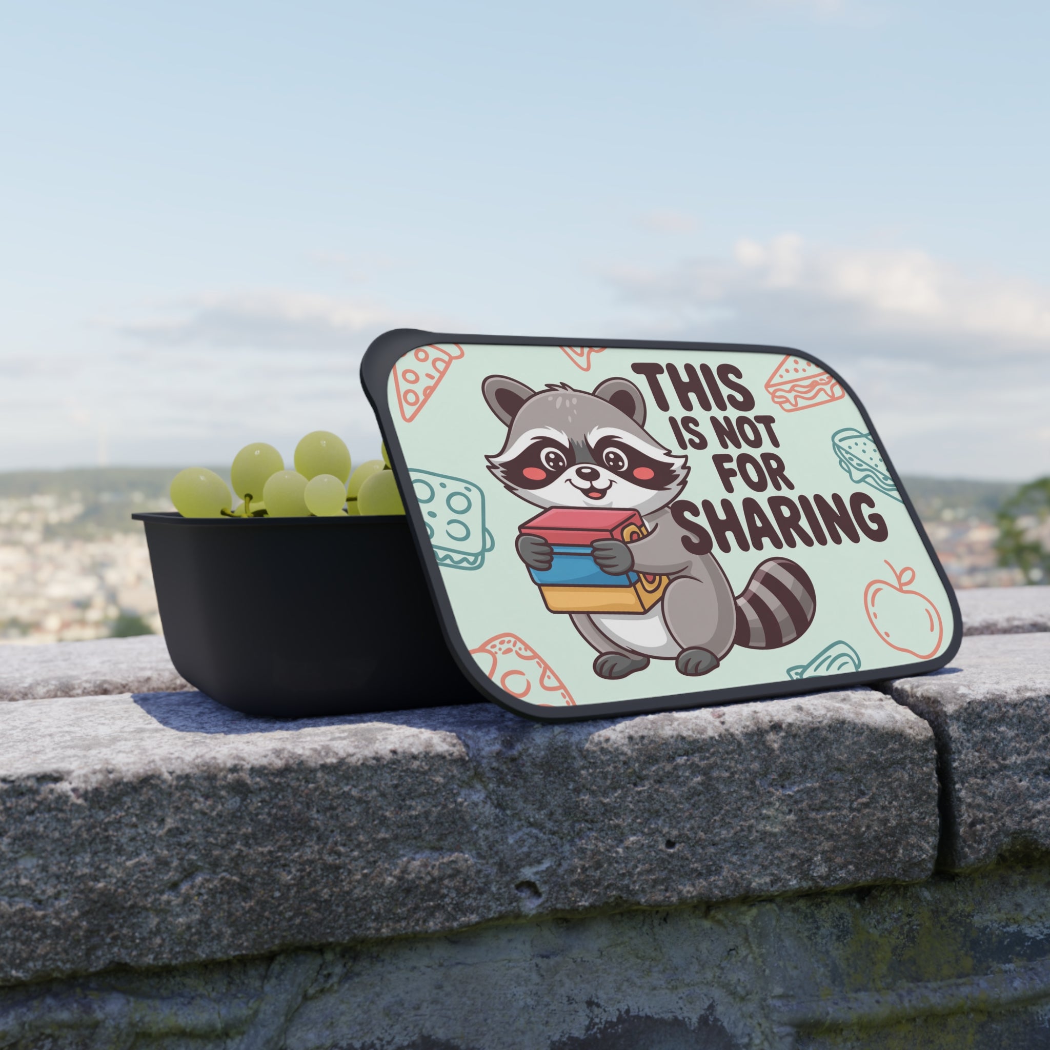 Raccoon character holding books on lunchbox lid with text "THIS IS NOT FOR SHARING."