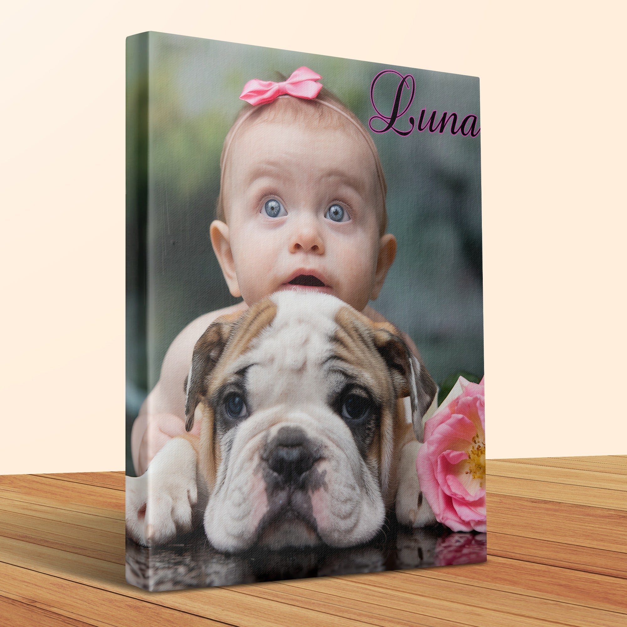 English Bulldog puppy and baby girl named Luna with pink bow.