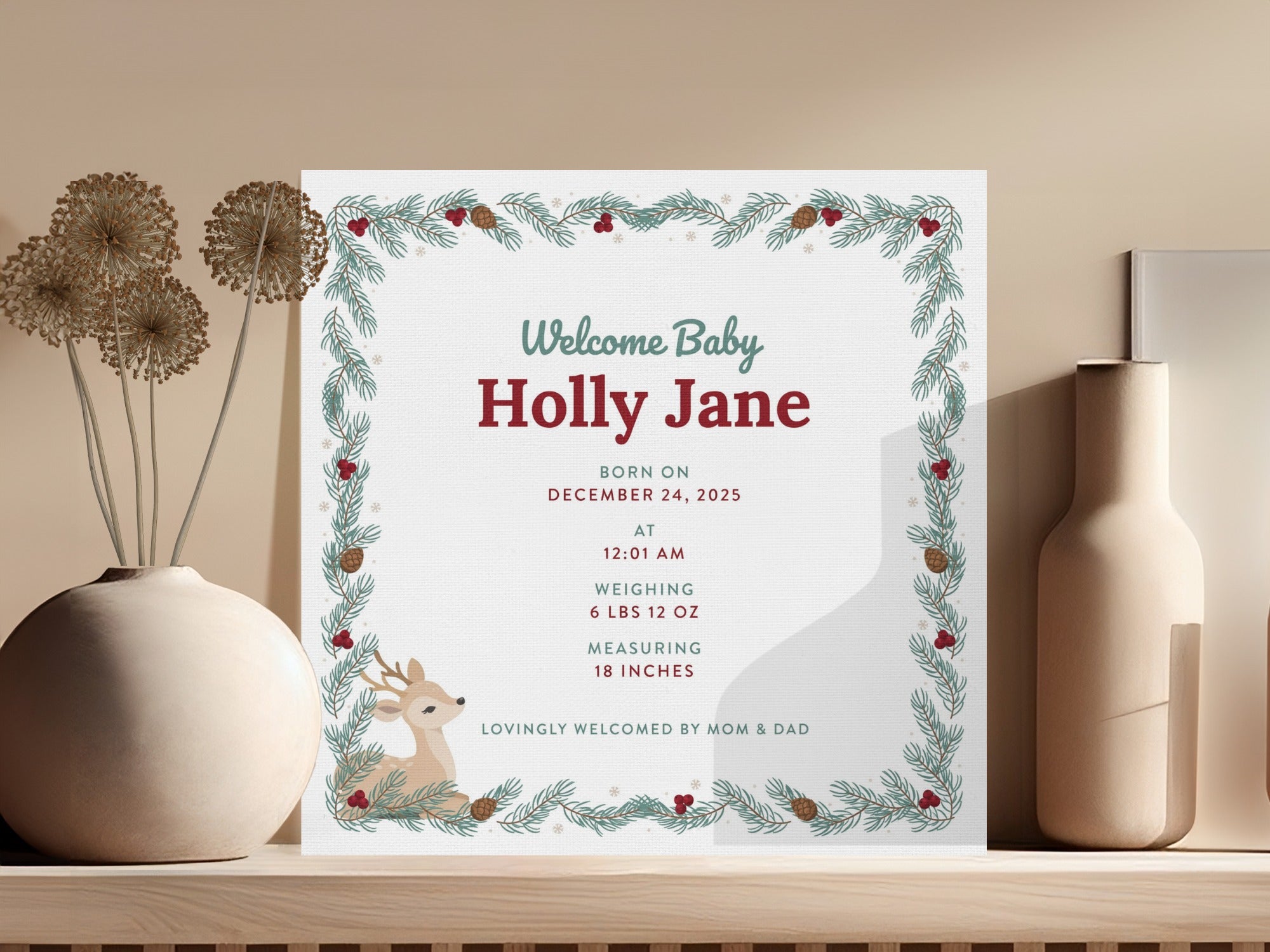 Birth announcement for Holly Jane, born December 24, 2025.
