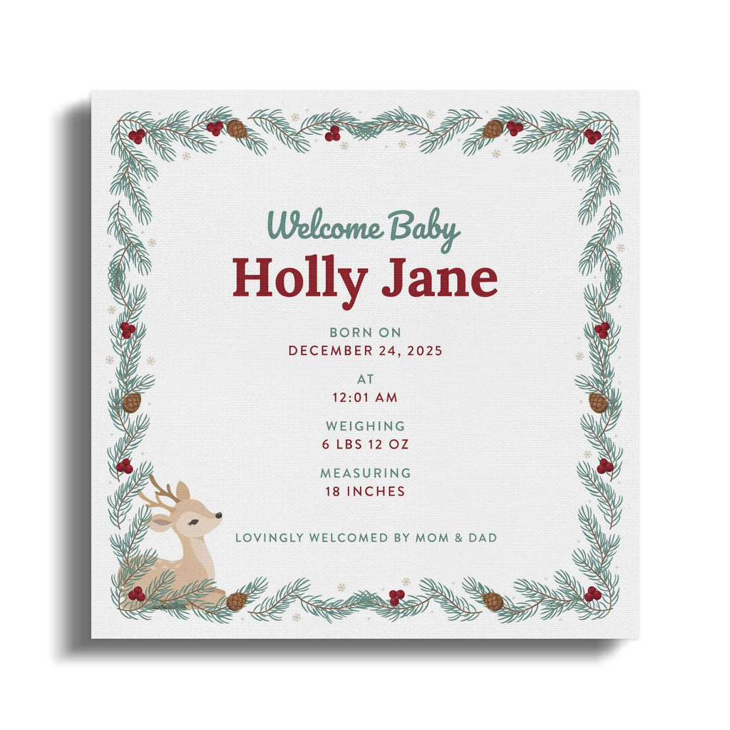 Welcome Baby Holly Jane born December 24, 2025 at 12:01 AM.