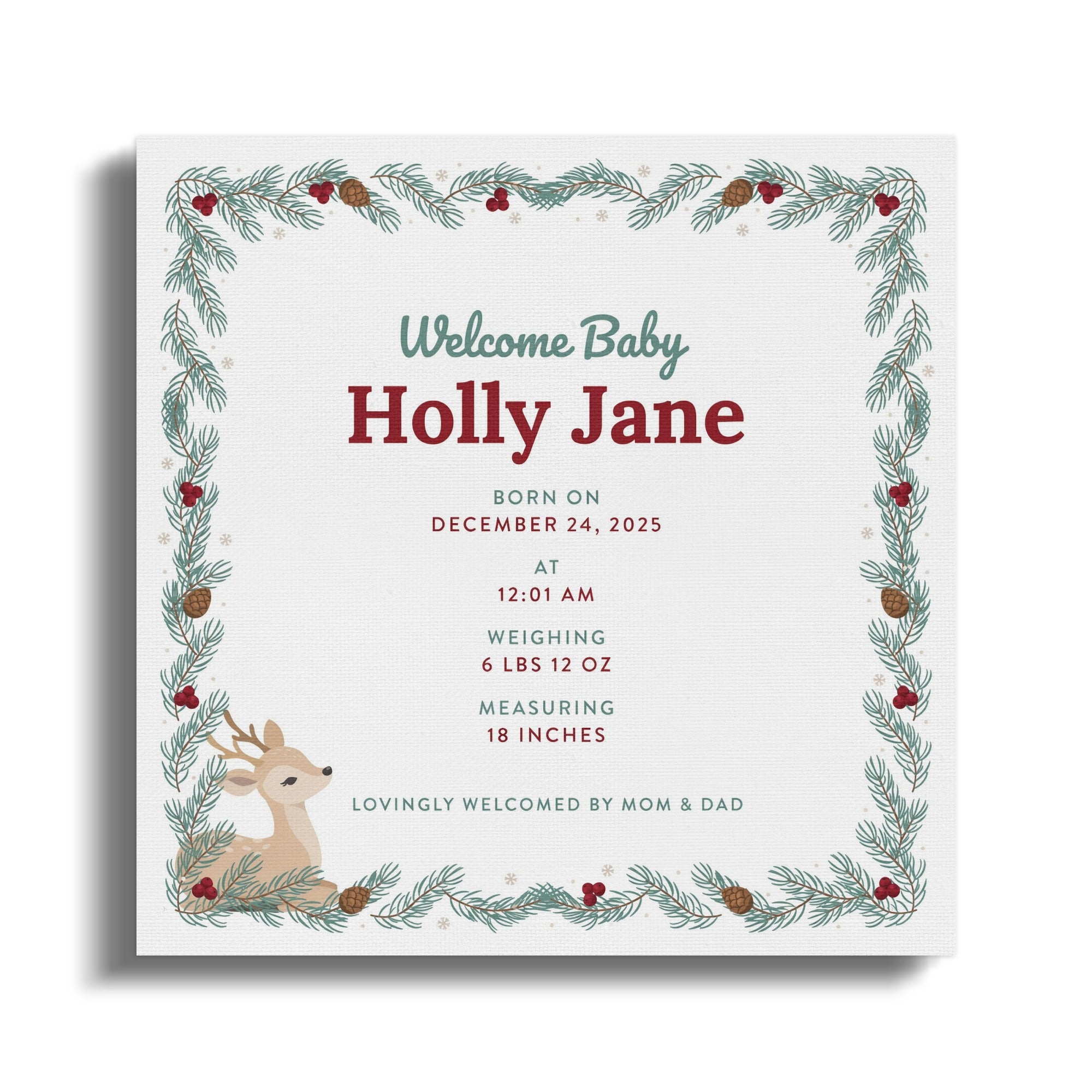 Welcome Baby Holly Jane born December 24, 2025 at 12:01 AM.