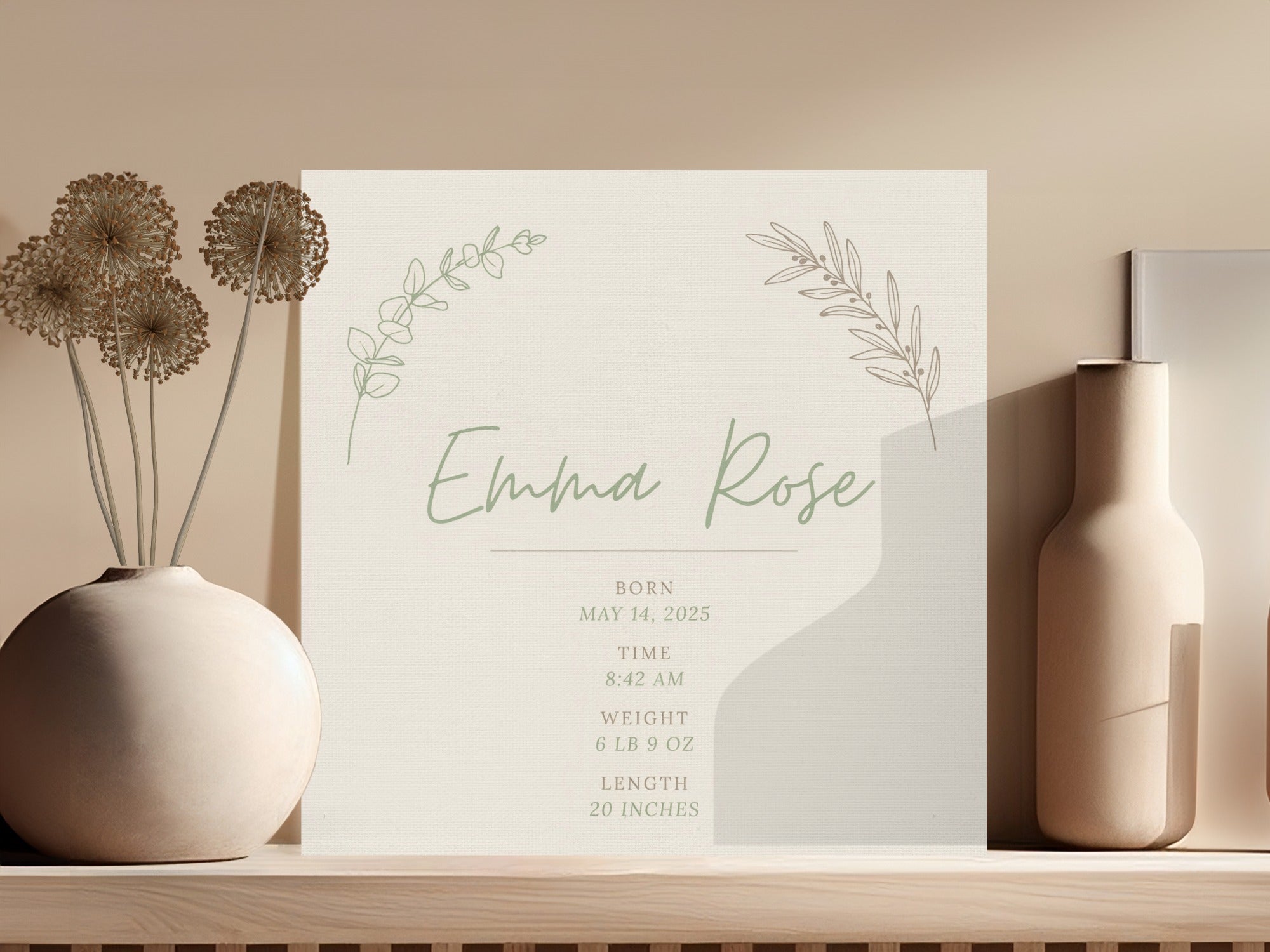 Emma Rose birth announcement with details: Born May 14, 2025, 8:42 AM, 6 lb 9 oz, 20 inches.
